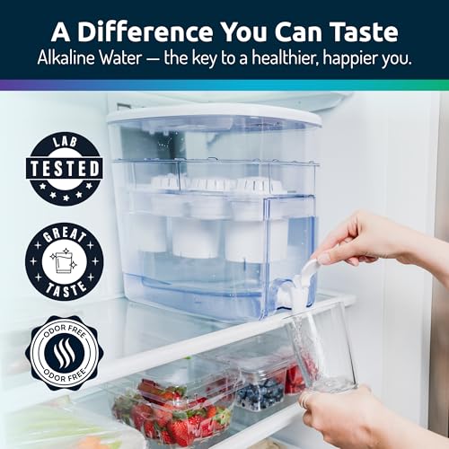 Alkaline Countertop Water Filter Dispenser