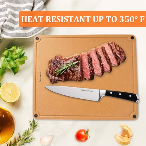 Large Cutting Boards for Kitchen Dishwasher (X-Large)