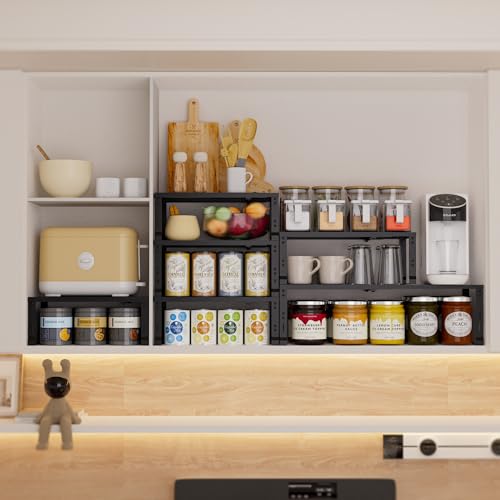 Expandable Spice Rack