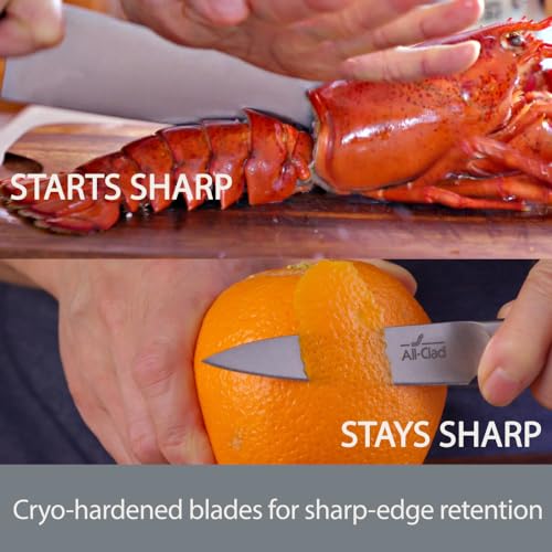 Forged German Stainless Steel Chef's Knife (Silver/Black / 6")