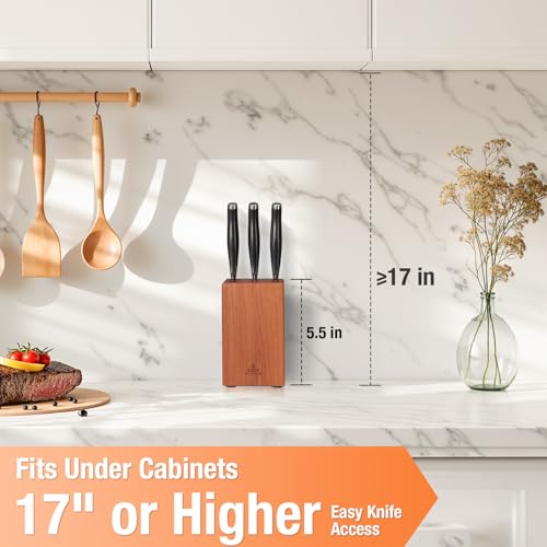 Knife Block without Knives
