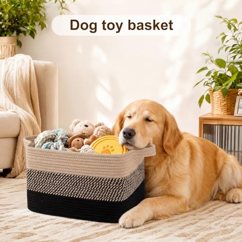 Storage Basket