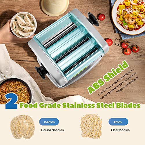 Electric Pasta Maker (2.5mm Round Noodles, 4mm Flat Noodles)