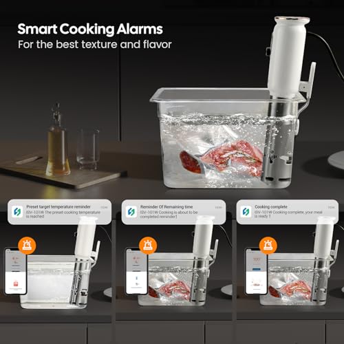 2.4G WiFi Sous Vide Cooker ISV (White)