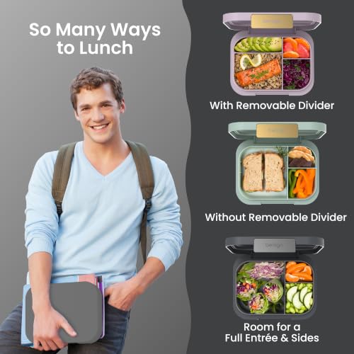 Modern - Leak-Proof, Versatile 4-Compartment Bento-Style Lunch Box, Ergonomic Design with Matte Finish, Ideal for On-the-Go Balanced Eating for Adults and Teens - BPA-Free