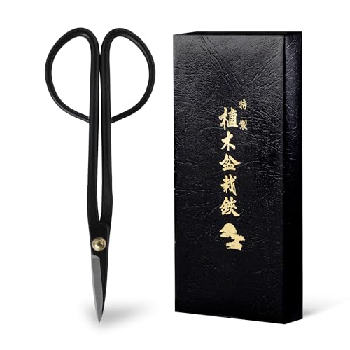 Bonsai Scissors