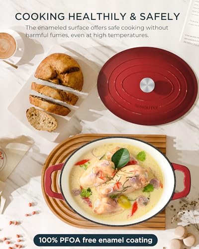 Enameled Cast Iron Dutch Oven (Cooking Pot / Cherry red / 9.3QT)