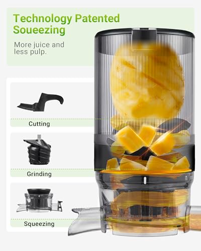 Cold Press Juicer Machine
