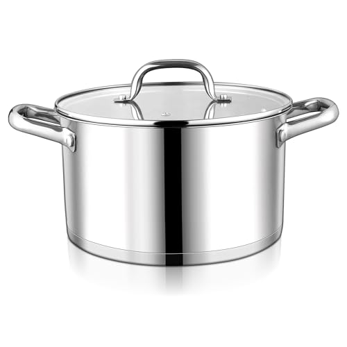 Stainless Steel Stockpot with Glass Lid