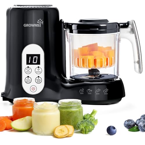 Baby Food Maker