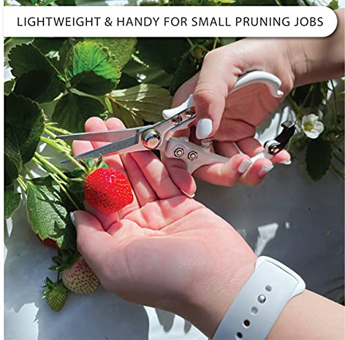 Plant Pruning Shears with Vegan Leather Sheath Garden Trimming Scissors with Belt Holster Bonsai Trimmers Herb Snips Flower Clippers Garden Tools 2 Piece Bundle