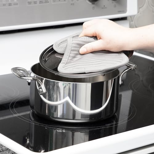 Premium Pot Holder & Hot Pad (Titanium / 2 Pack)