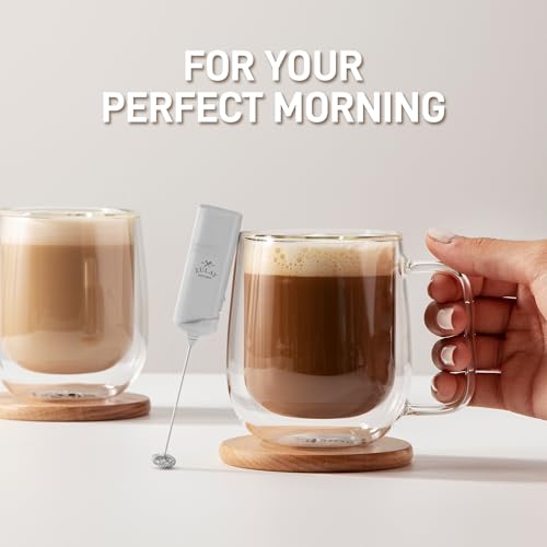 Milk Frother Mini