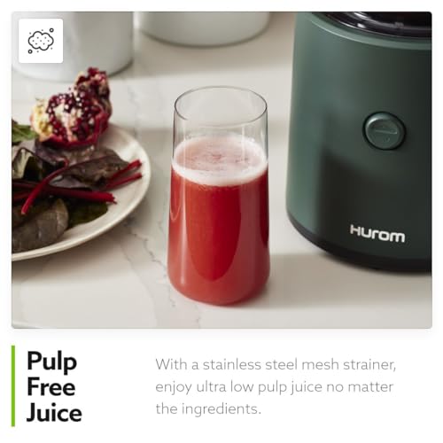 H320 Slow Juicer
