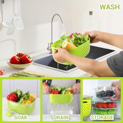 Fresh Produce Vegetable Fruit Storage Containers 3Piece Set