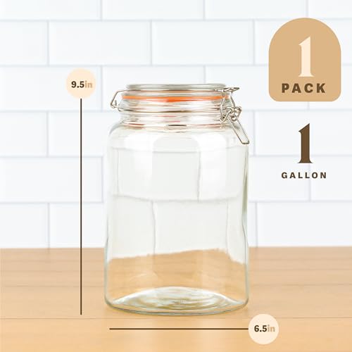 Extra Wide Mouth Gallon Glass Jar with Hinged Lids
