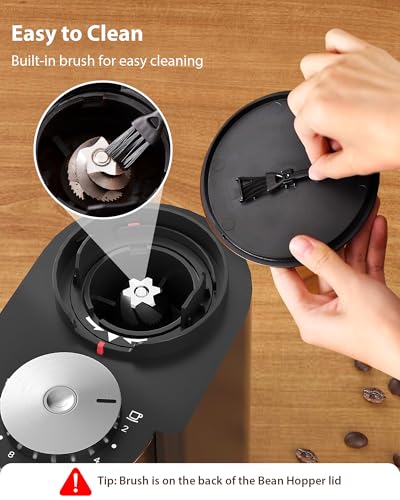 Aromaster Burr Coffee Grinder (Titanium Black)