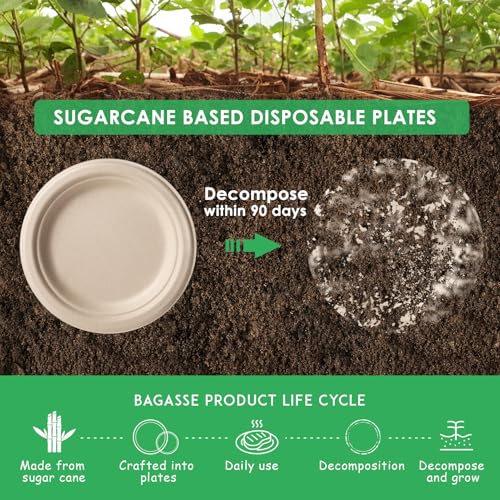 Compostable Paper Plates Dessert Dinner Plates Disposable Heavy