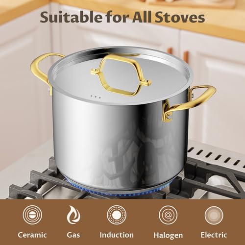 Stainless Steel Stock Pot with Lid