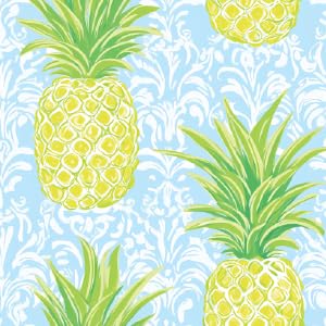 IceCreamSok Insulated Neoprene Cover