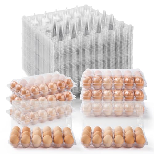 Clear Plastic Egg Cartons Cheap Bulk