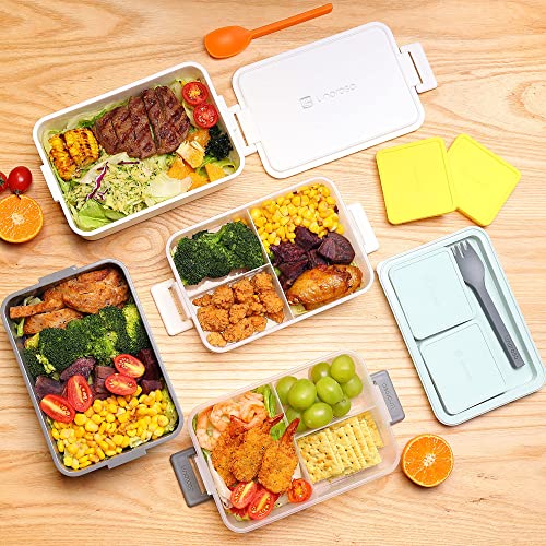 Bento Box Series