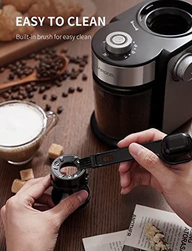 Electric Burr Coffee Grinder 2.0 (Silver)