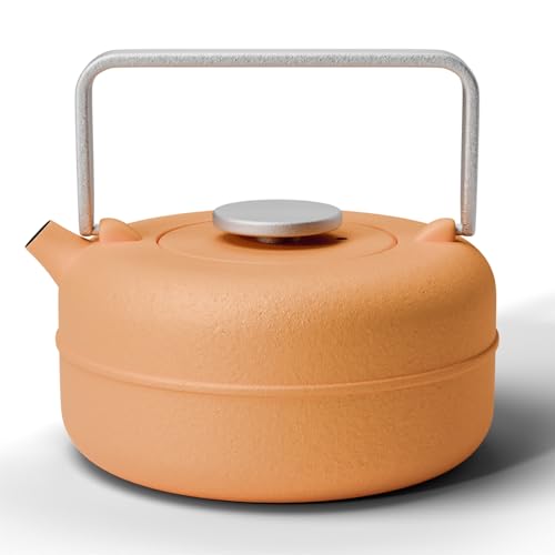 Cast Iron Teapot