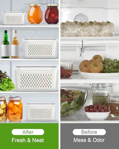 Fruit Storage Containers for Fridge