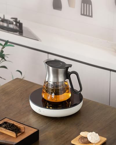 Design Glass Teapot with Infuser