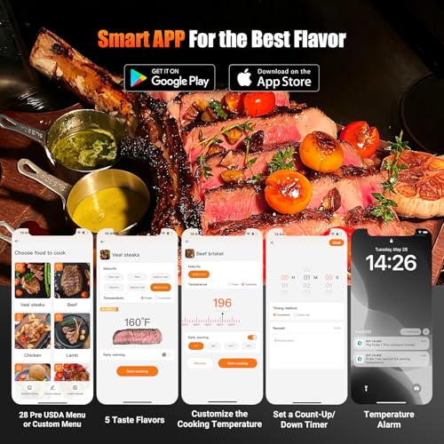 WiFi Wirless Meat Thermometer for Smoker
