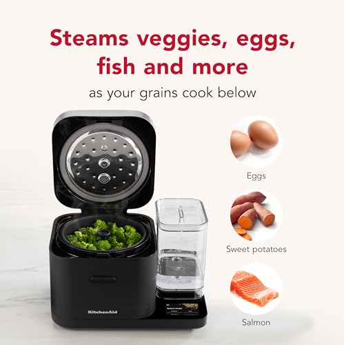 Grain and Rice Cooker