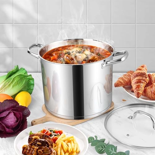 Stainless Steel Stockpot