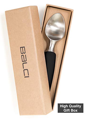 Ice Cream Scoop