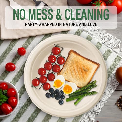 50 Compostable Paper Plates