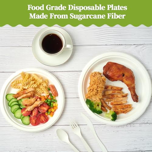 120 Pack Compostable Paper Plates