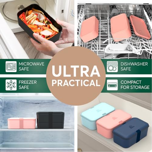 Bento Lunch Box for Men & Women