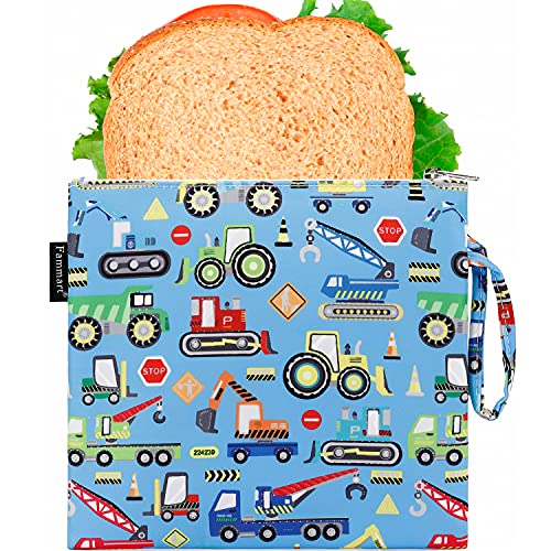 Freezable Snack Bag with Removable Ice Packs