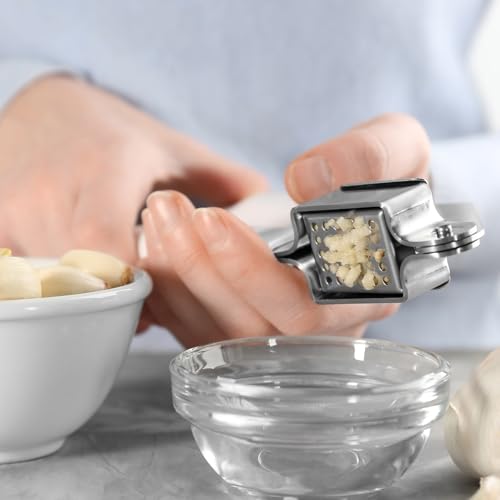 Garlic Press Stainless Steel Garlic Crusher and Peeler Set