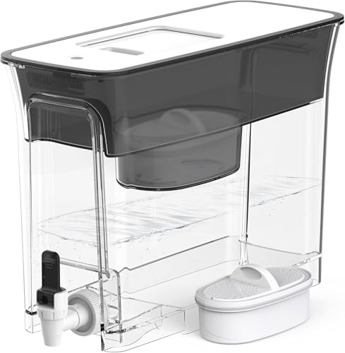 Water Filter Dispenser