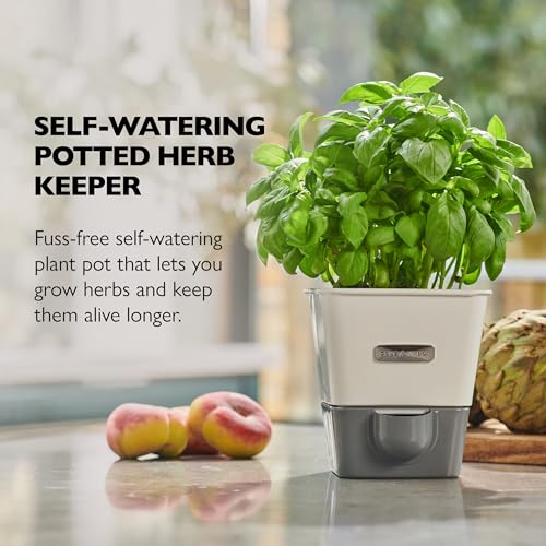 Fresh Herb Keeper