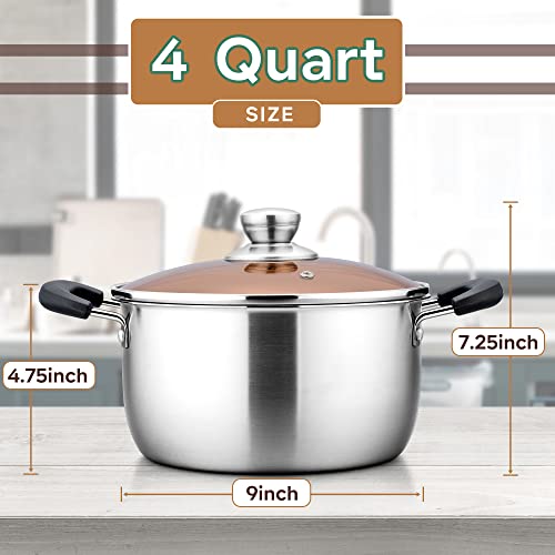 Stainless Steel Stock Pot