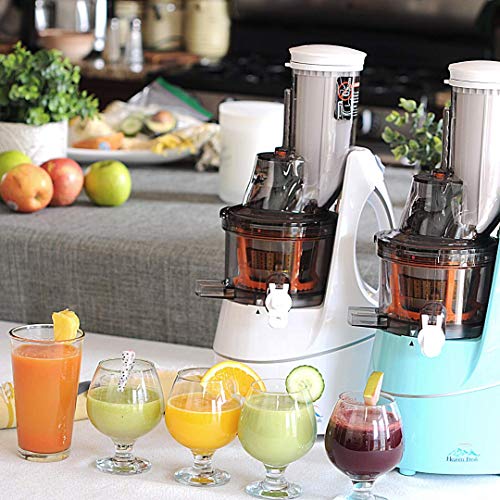 HF 3014 Slow Masticating Juicer