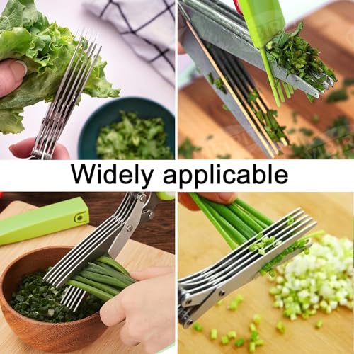 Garlic Press and Herb Scissors Set
