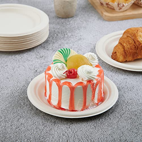 100% Compostable Paper Plates