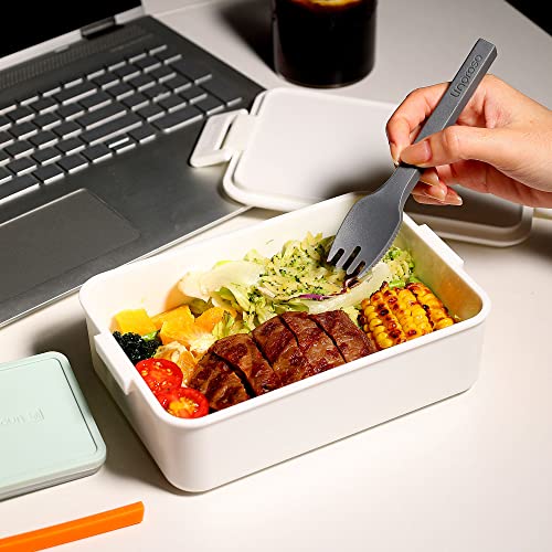 Bento Box Series
