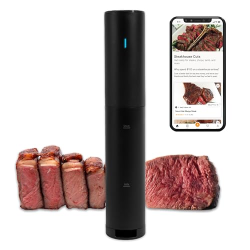 Sous Vide Precision Cooker Mini (Mini / Black)