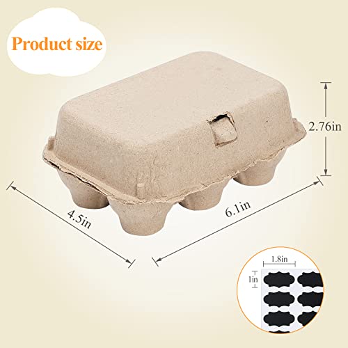 Egg Cartons Bulk