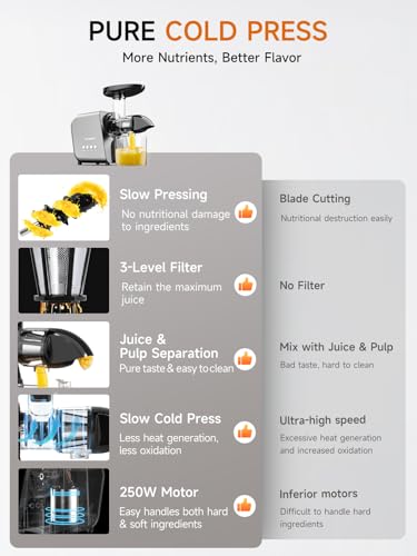 Masticating Juicer Machines Slow Cold Press Juicer Extractor Easy To Clean for Vegetables & Fruits