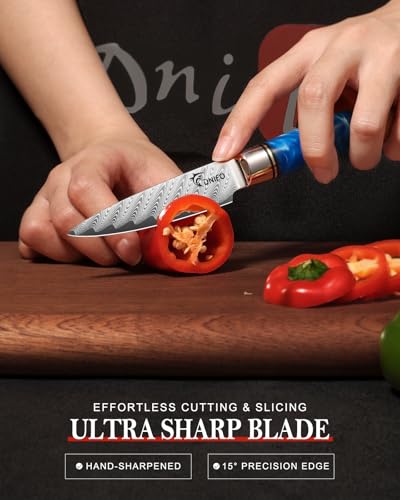 Damascus Kitchen Knives